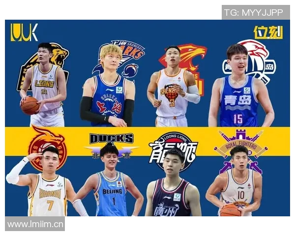 湖北省CBA球队名单及发展现状探讨